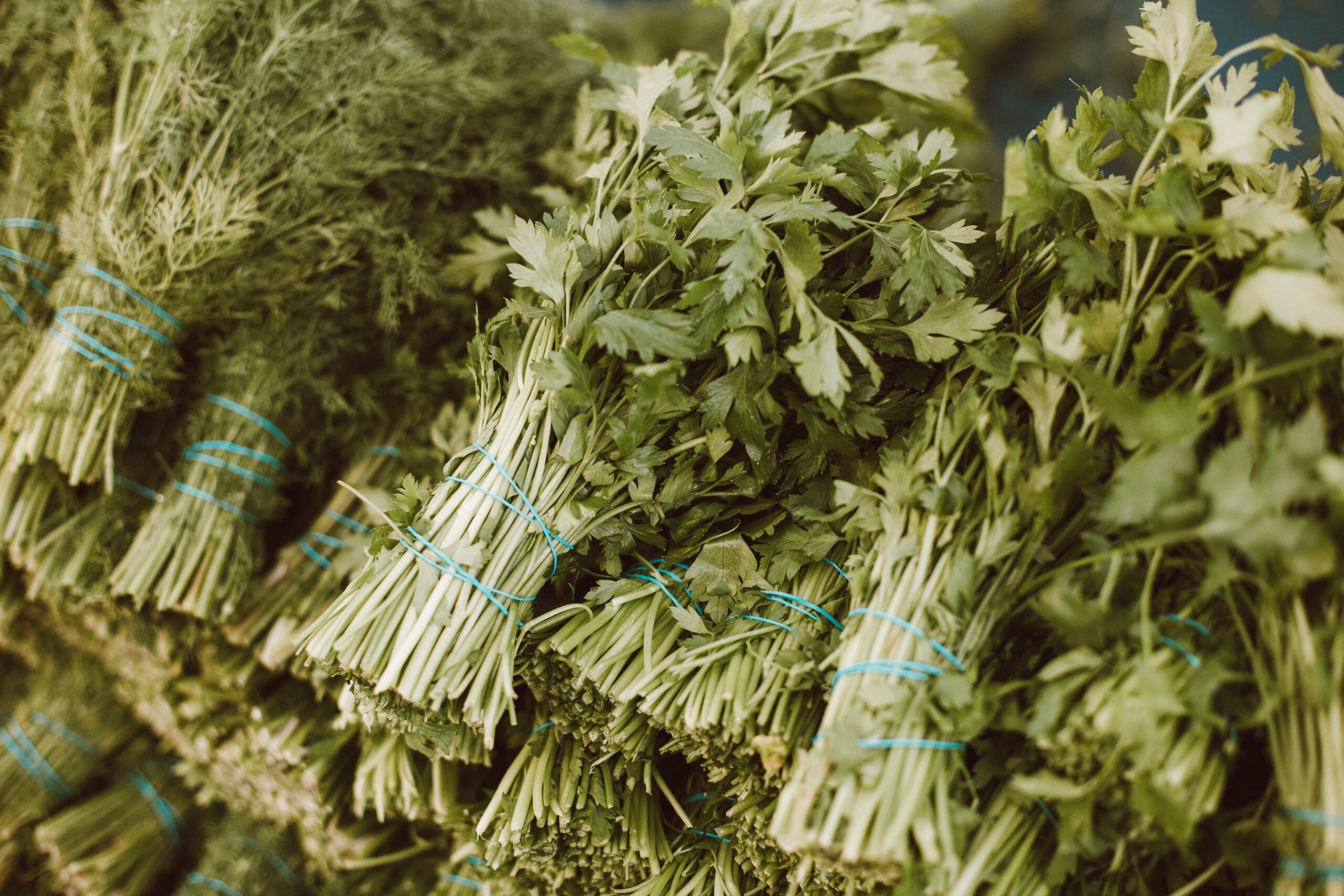 Herbs 3 Herbs 3