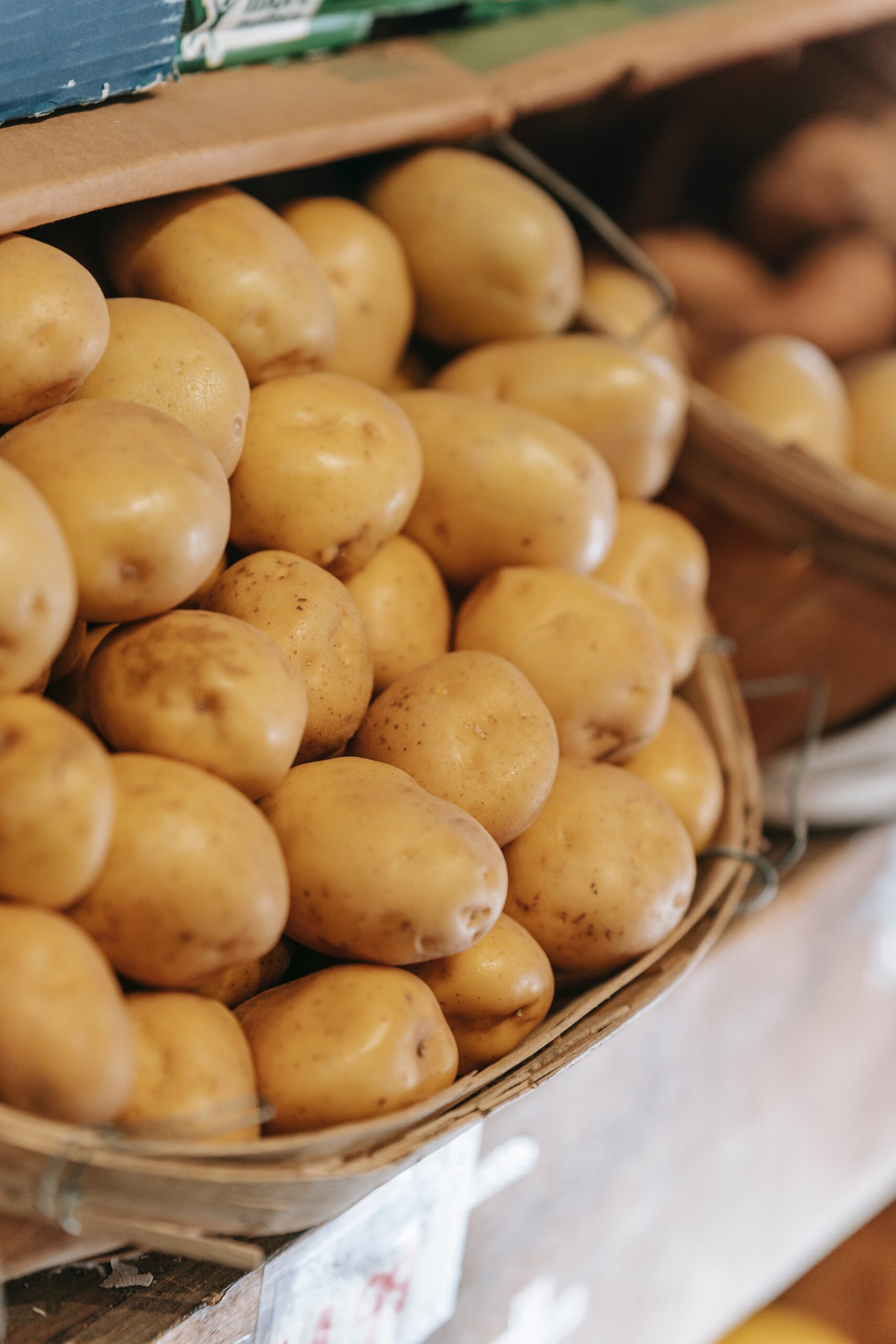 Potatoes 1 Potatoes 1
