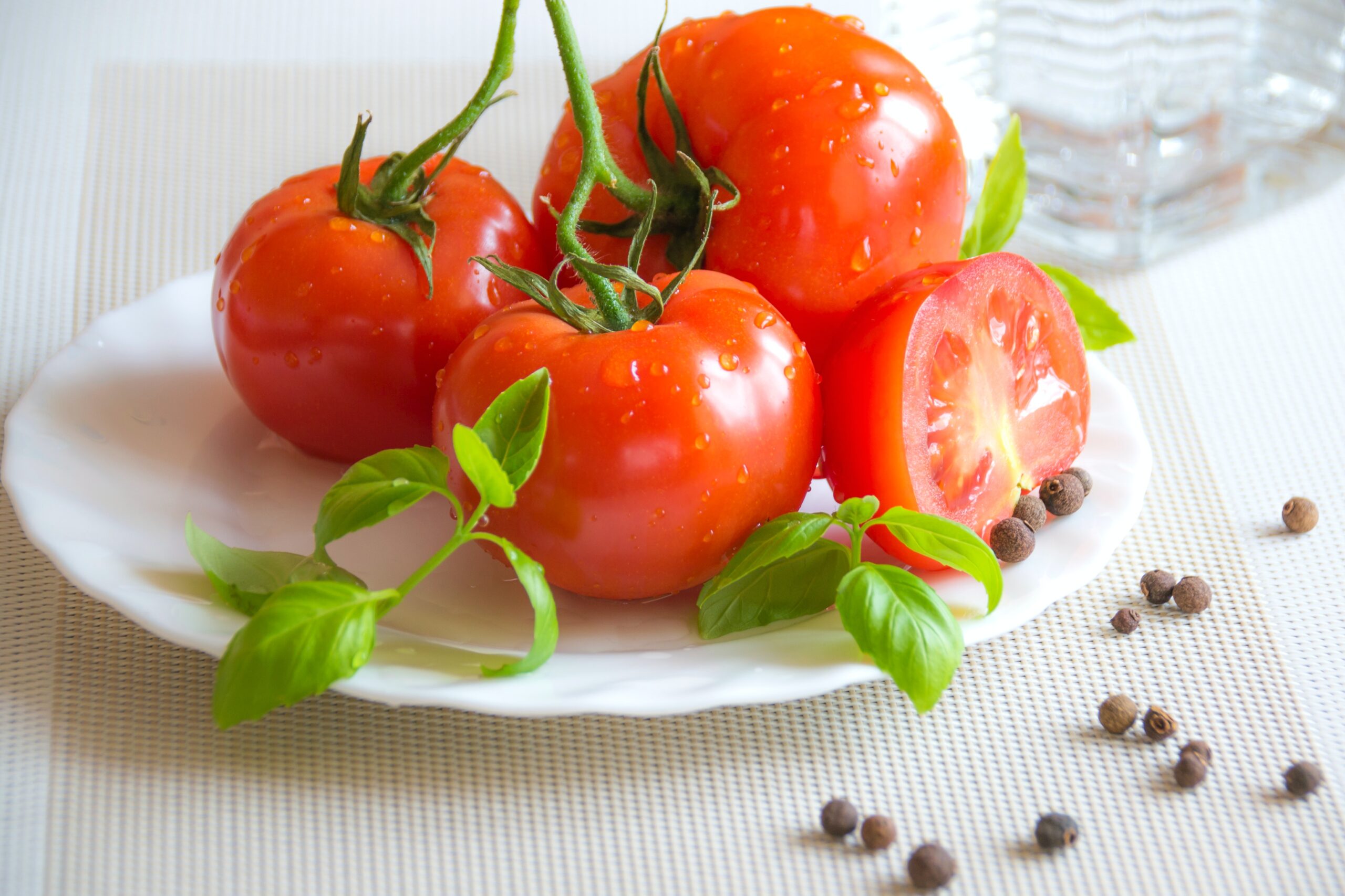 Tomato 1 Tomato 1